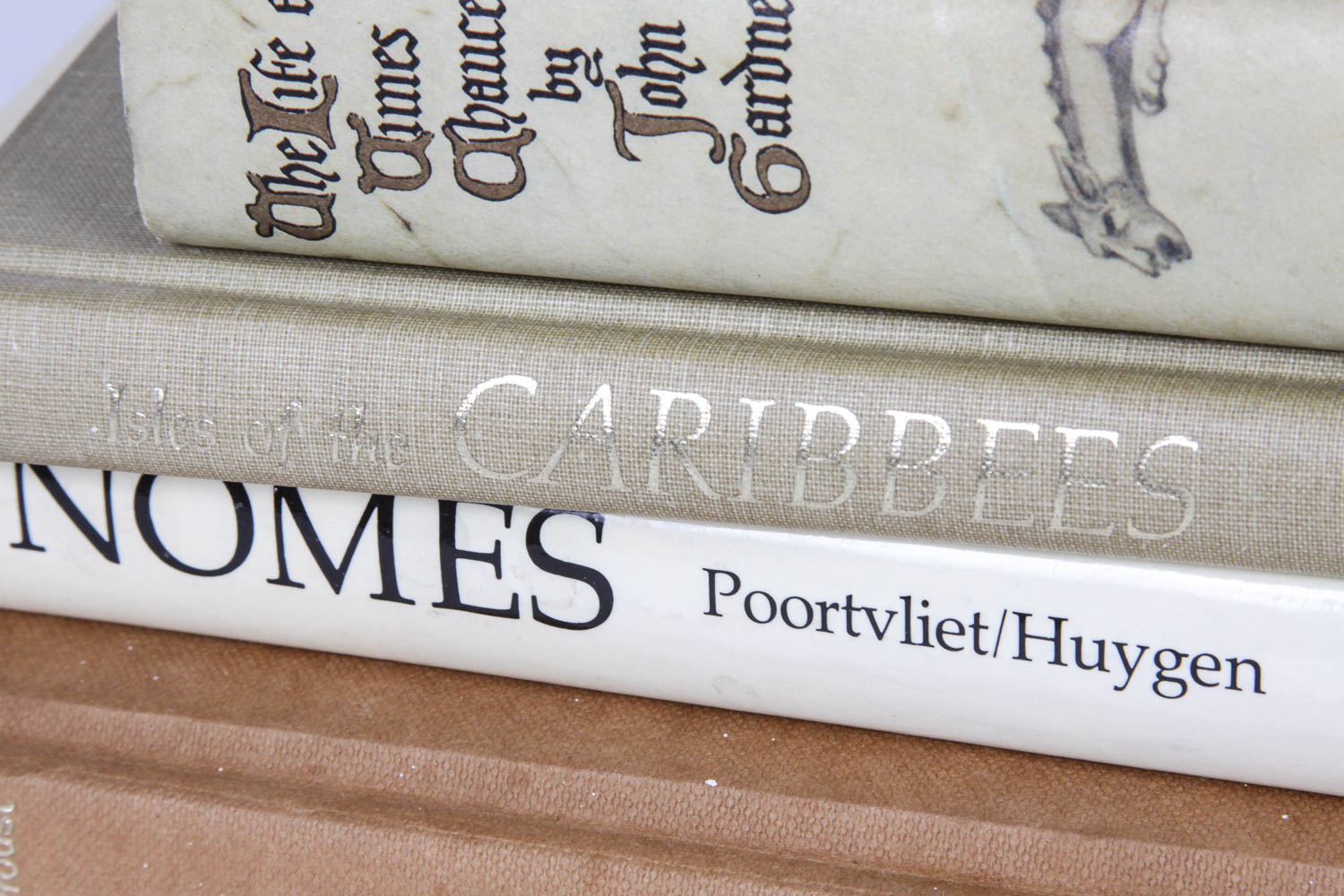 Collection of Beige Vintage Books