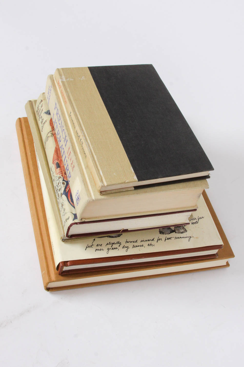 Collection of Beige Vintage Books