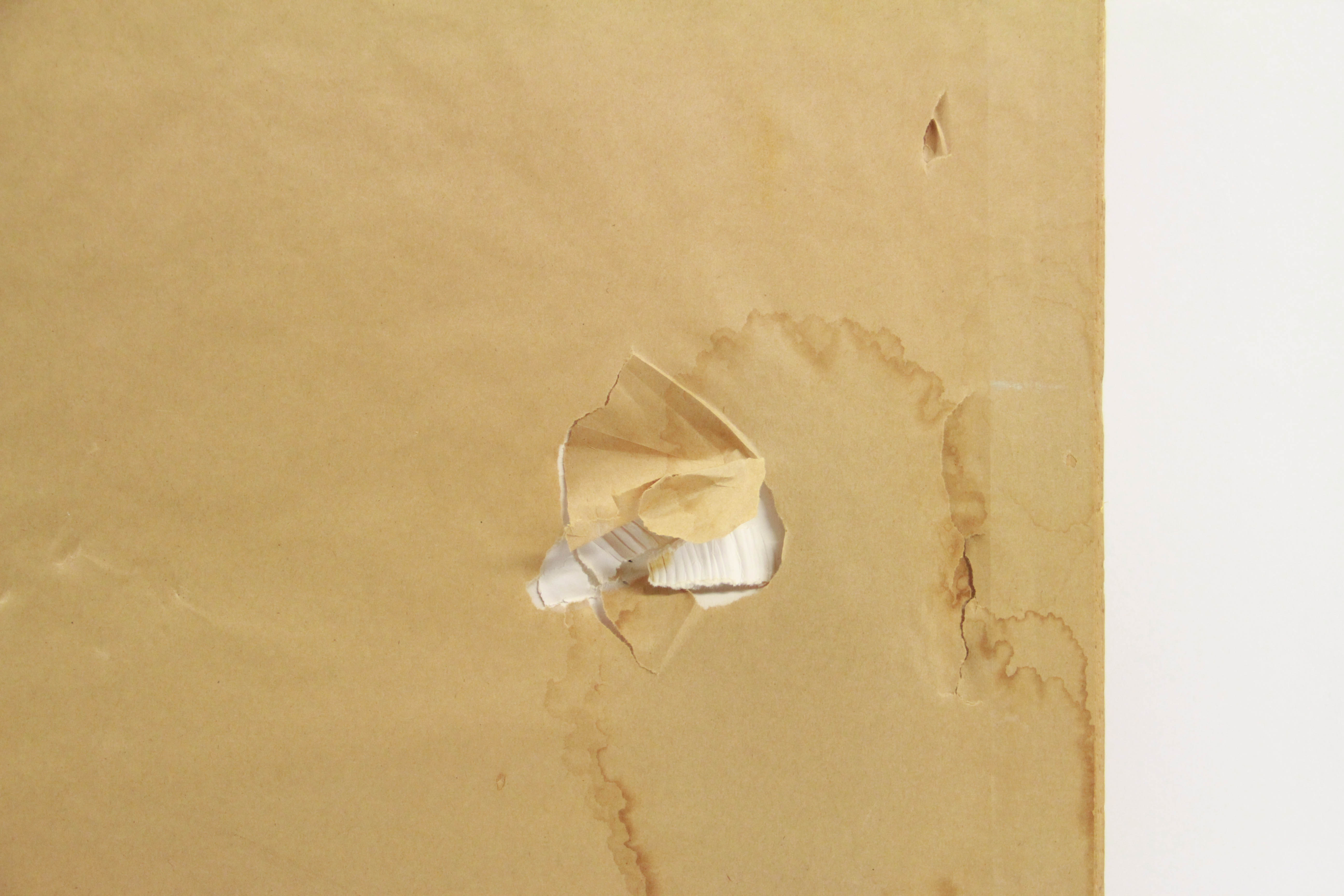 Pair of Framed Prints