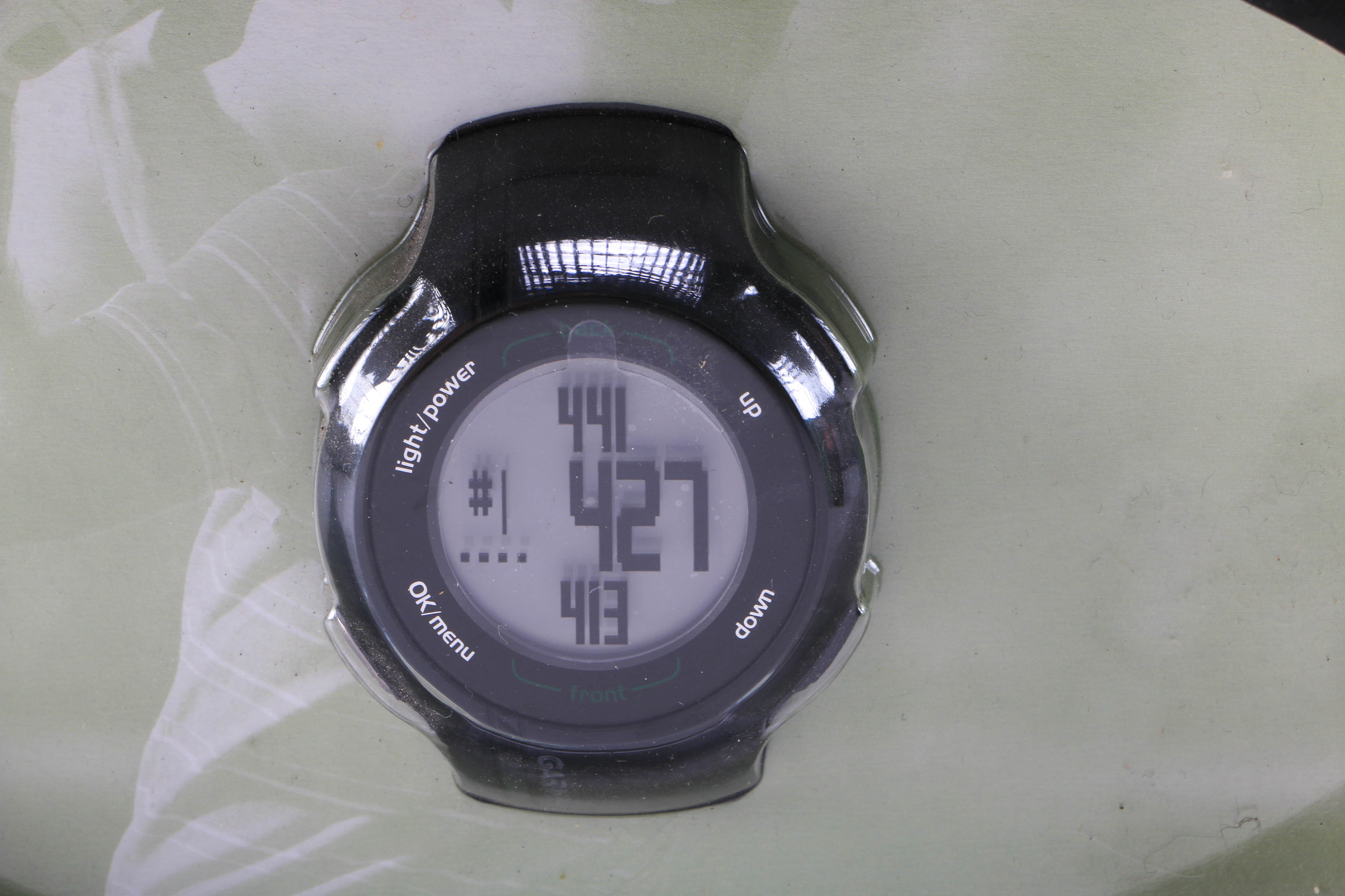 Garmin Golf GPS Watch and Polar Heart Monitor