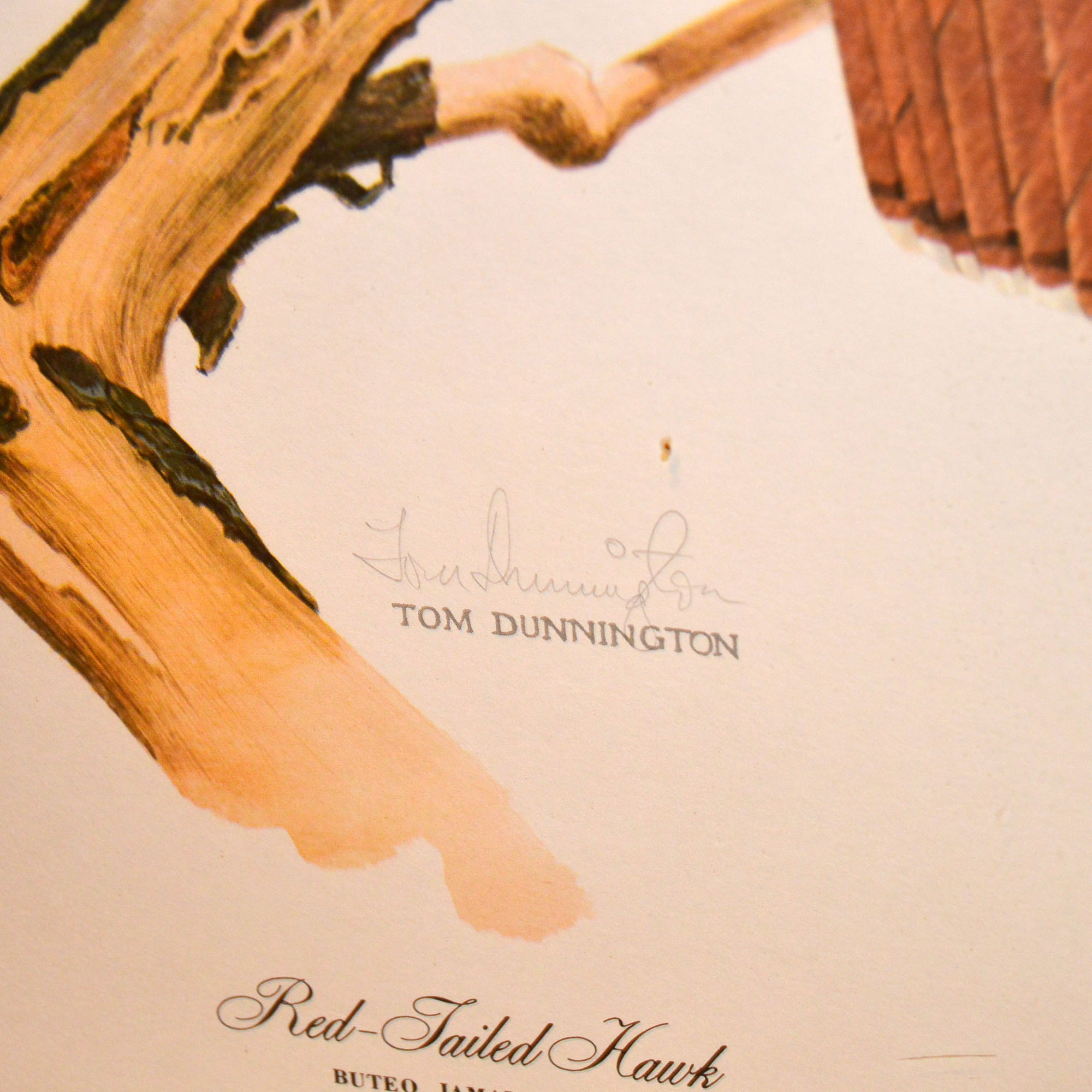Tom Dunnington Signed Limited Edition Offset Lithograph "Red-Tailed Hawk"