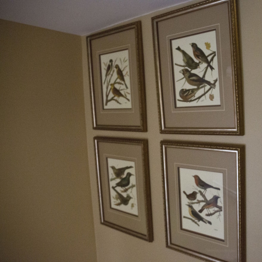 Set of Framed Bird Prints