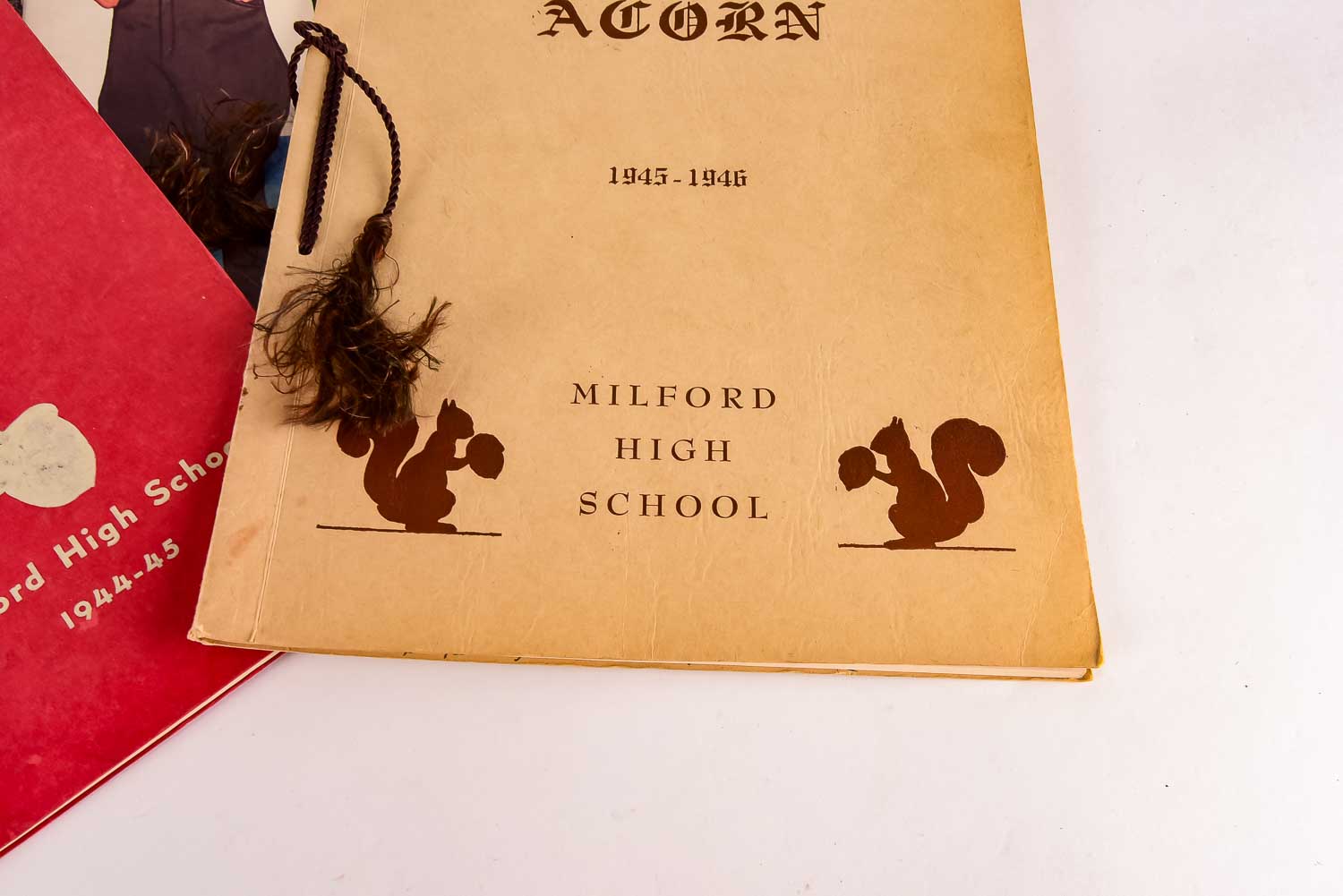 Ronald Reagan and Princess Diana Paper Doll Books And More