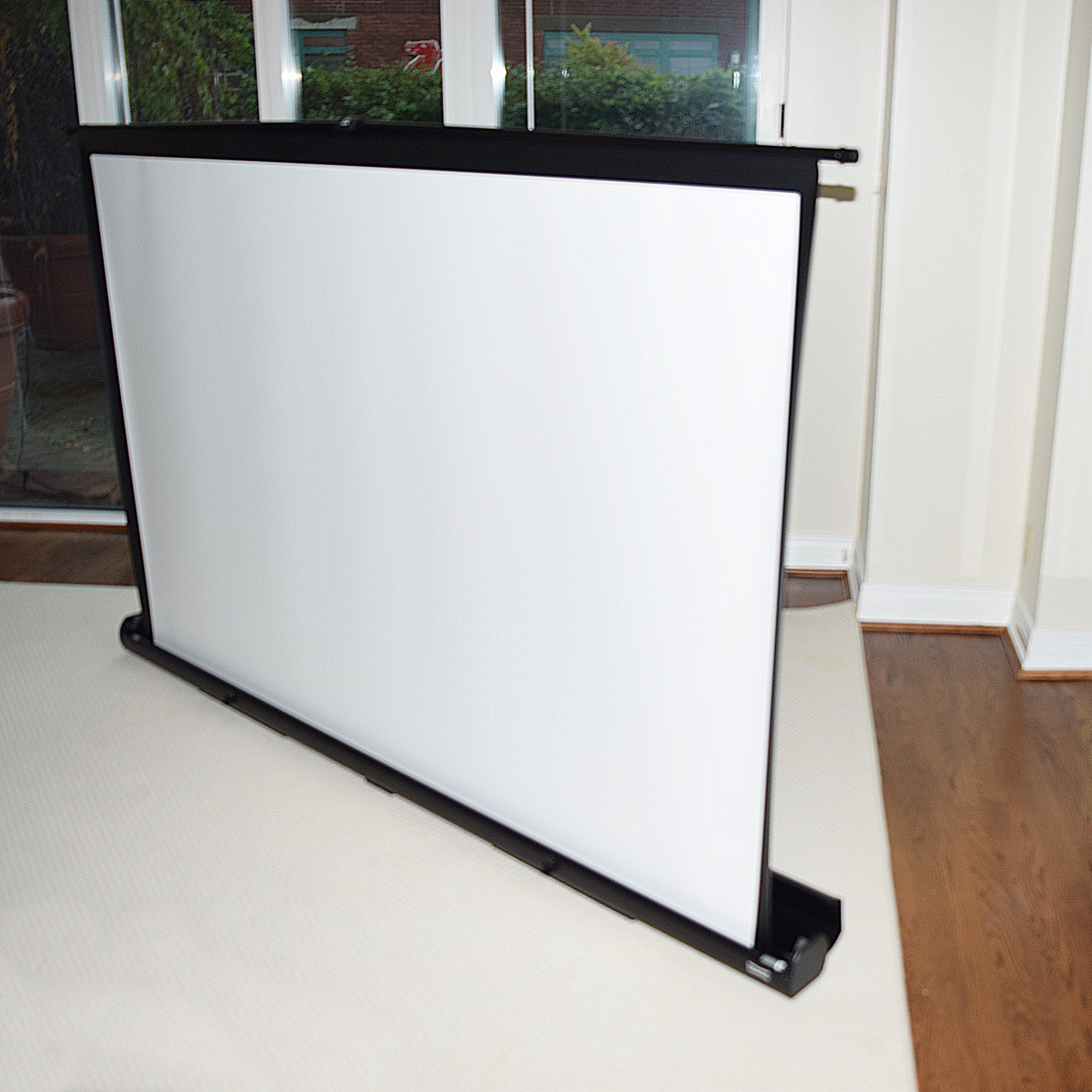 EIKI Multi-Media Projector (LC-XNB3) and a Da-Lite Theatre Screen