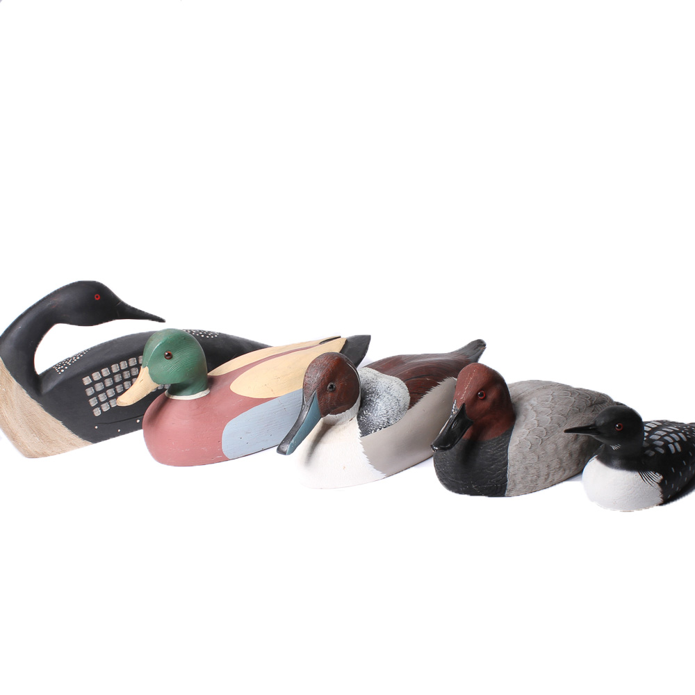Collection of Duck Decoys