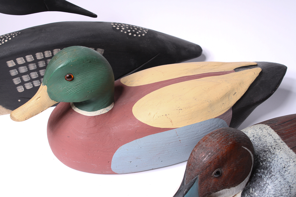 Collection of Duck Decoys