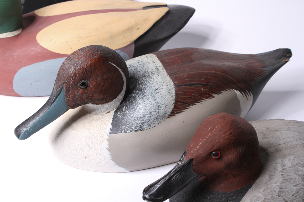 Collection of Duck Decoys