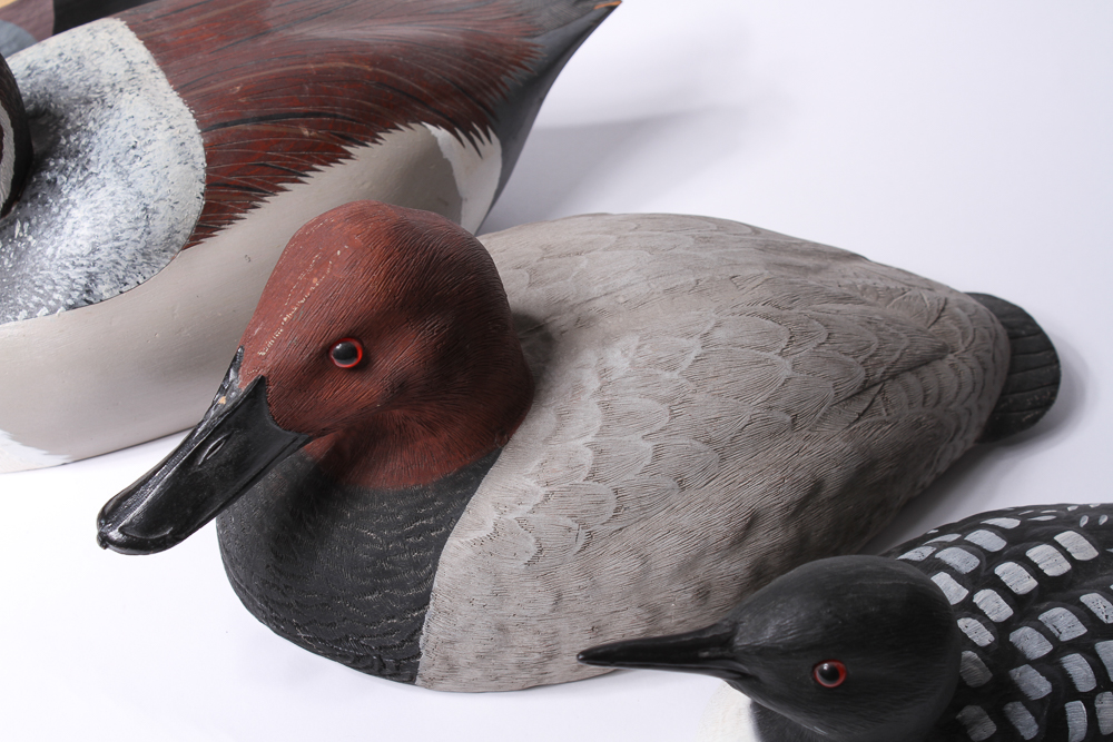 Collection of Duck Decoys