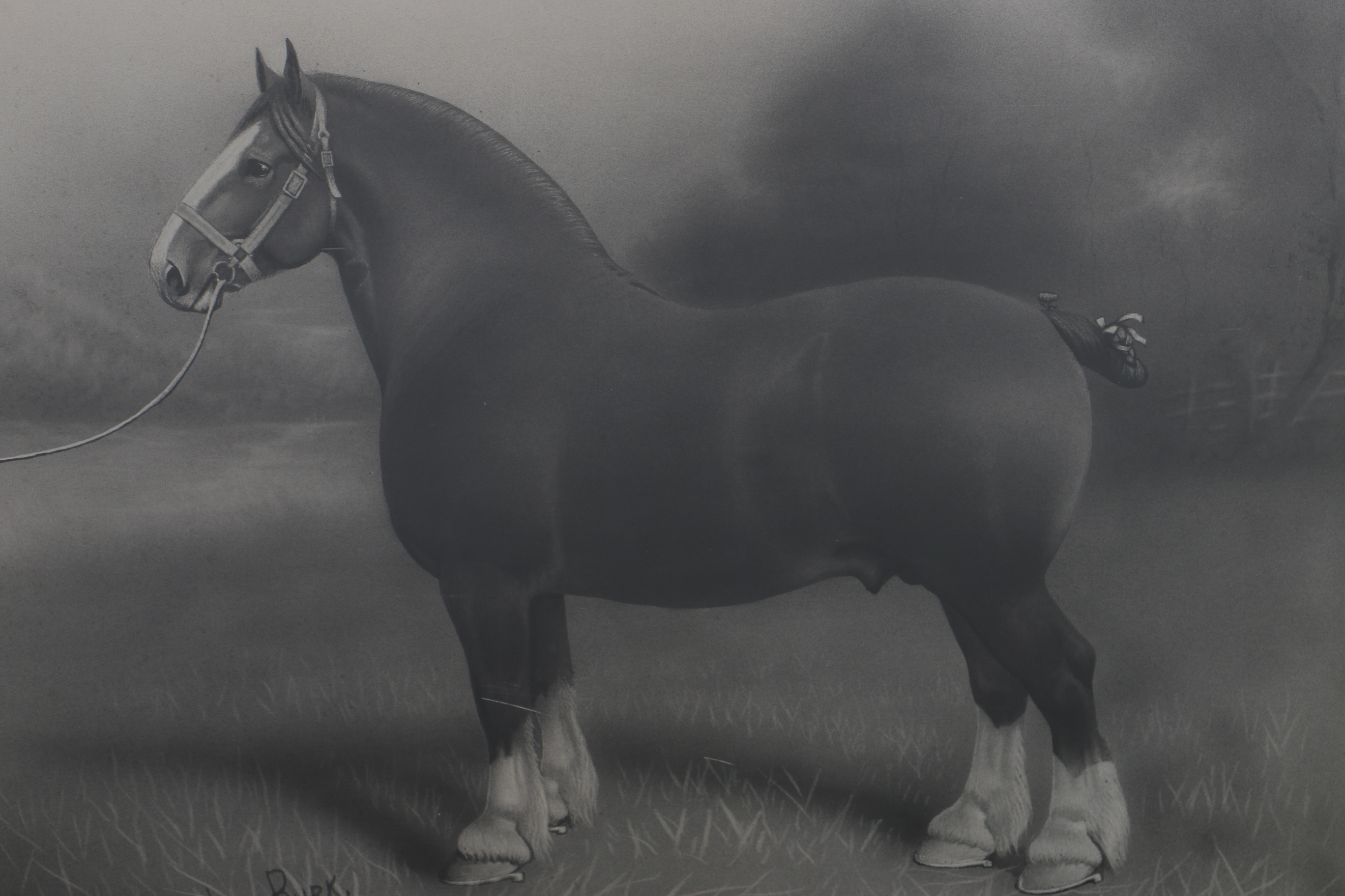 Lou Burk Hand-Embellished Print "Prince Grandeur 9639" 1902