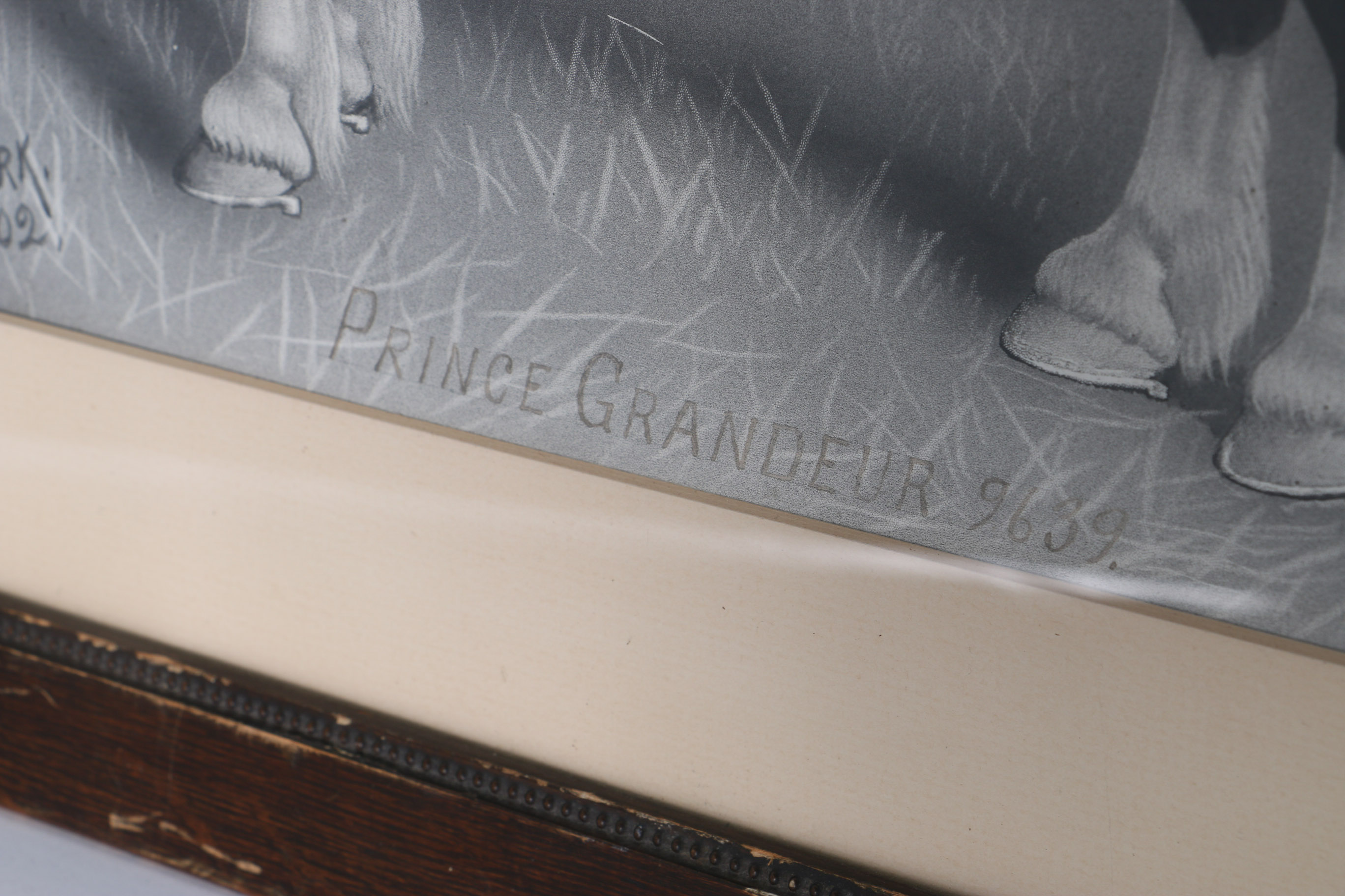 Lou Burk Hand-Embellished Print "Prince Grandeur 9639" 1902