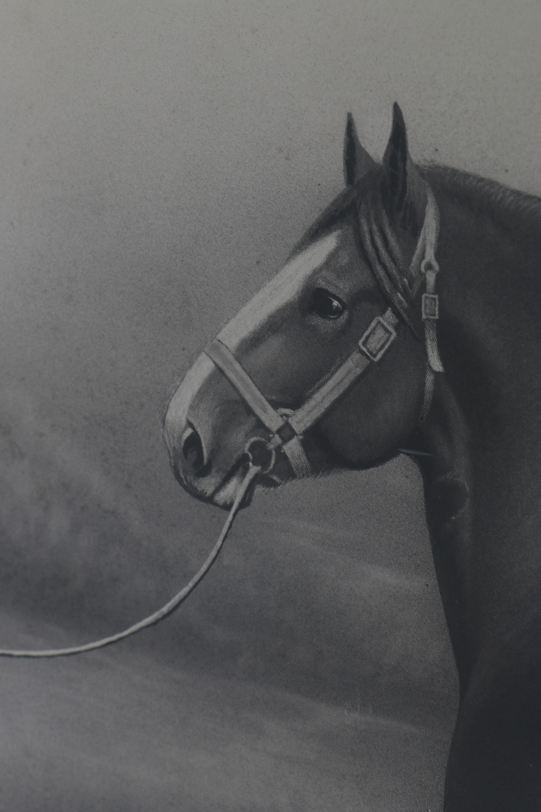 Lou Burk Hand-Embellished Print "Prince Grandeur 9639" 1902