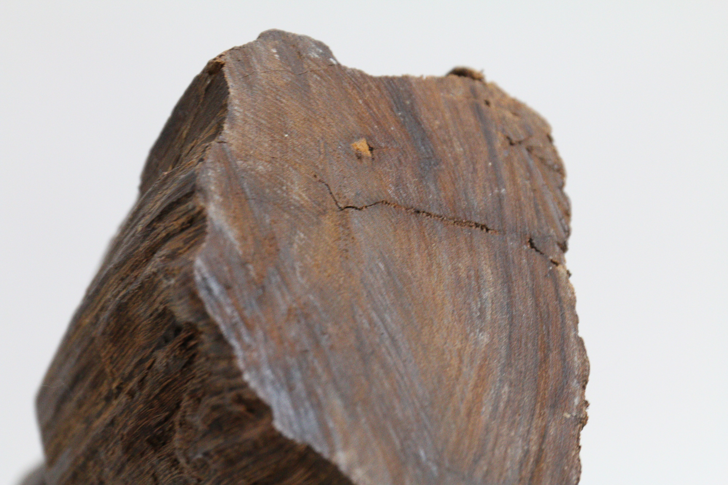 Carved Wood Ram Sculpture