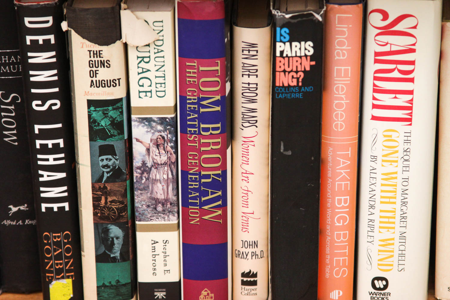 Oak Book Shelf with 75 Books
