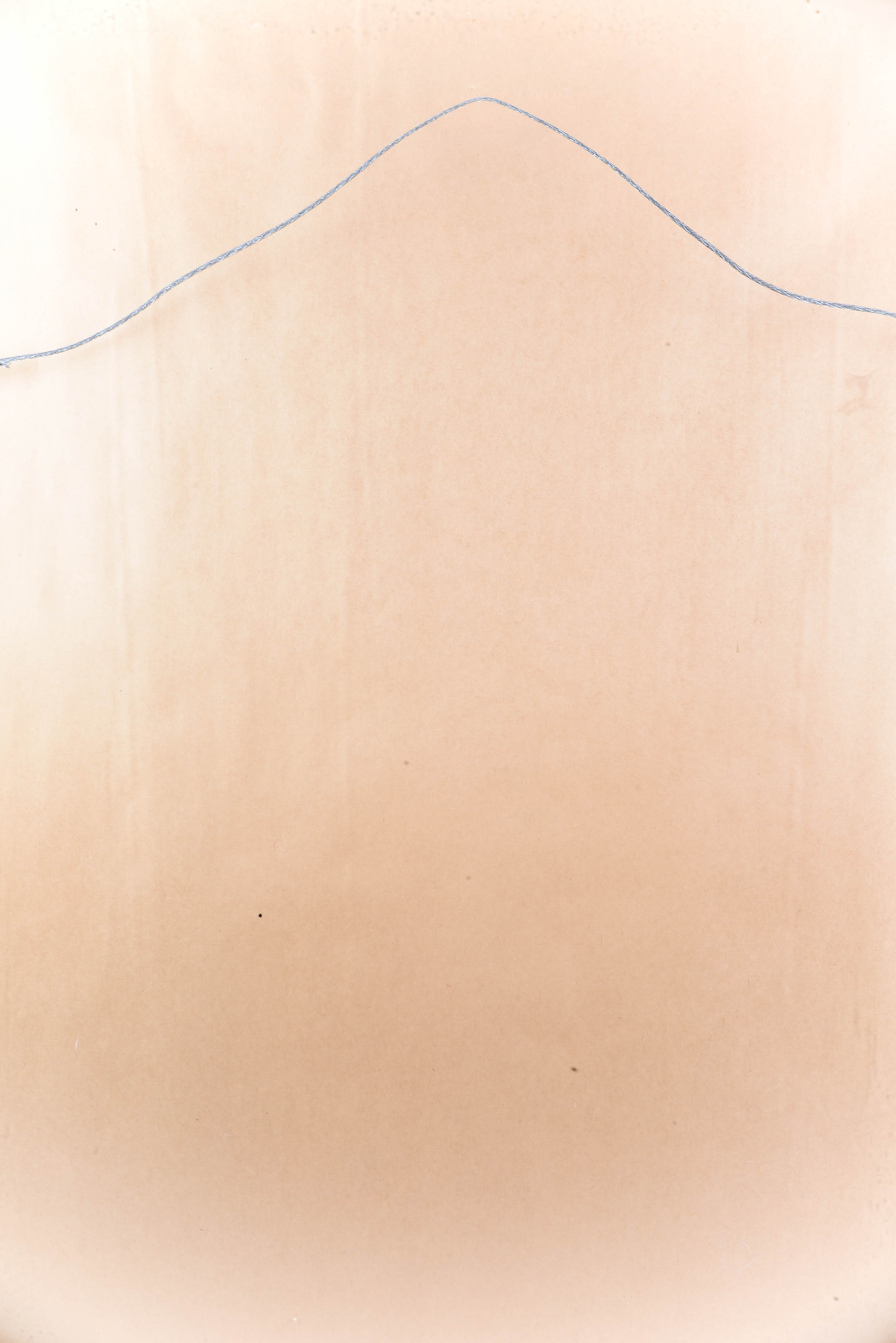 Signed Ted Robertson Pastel Drawing