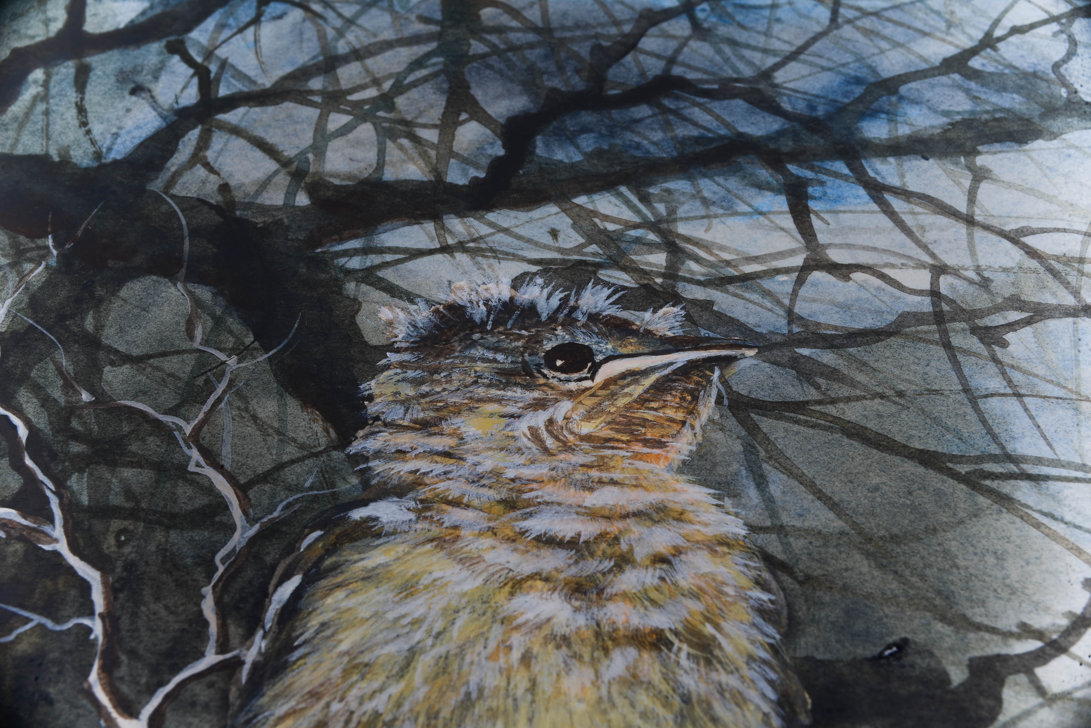 Pair of Framed Bird Paintings by Gretchen Jackson