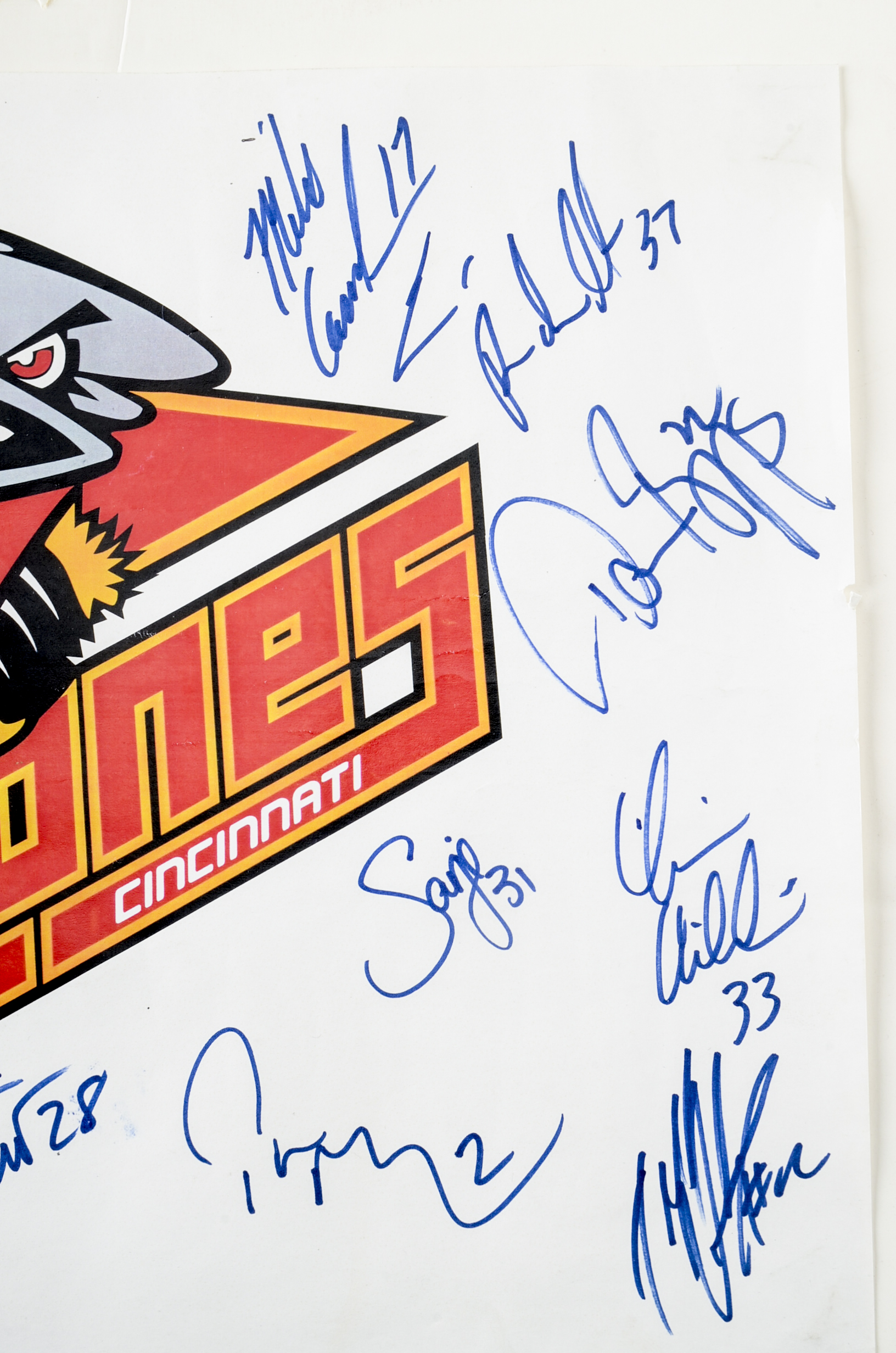 Cyclones Signed Logo Sign with Pennant