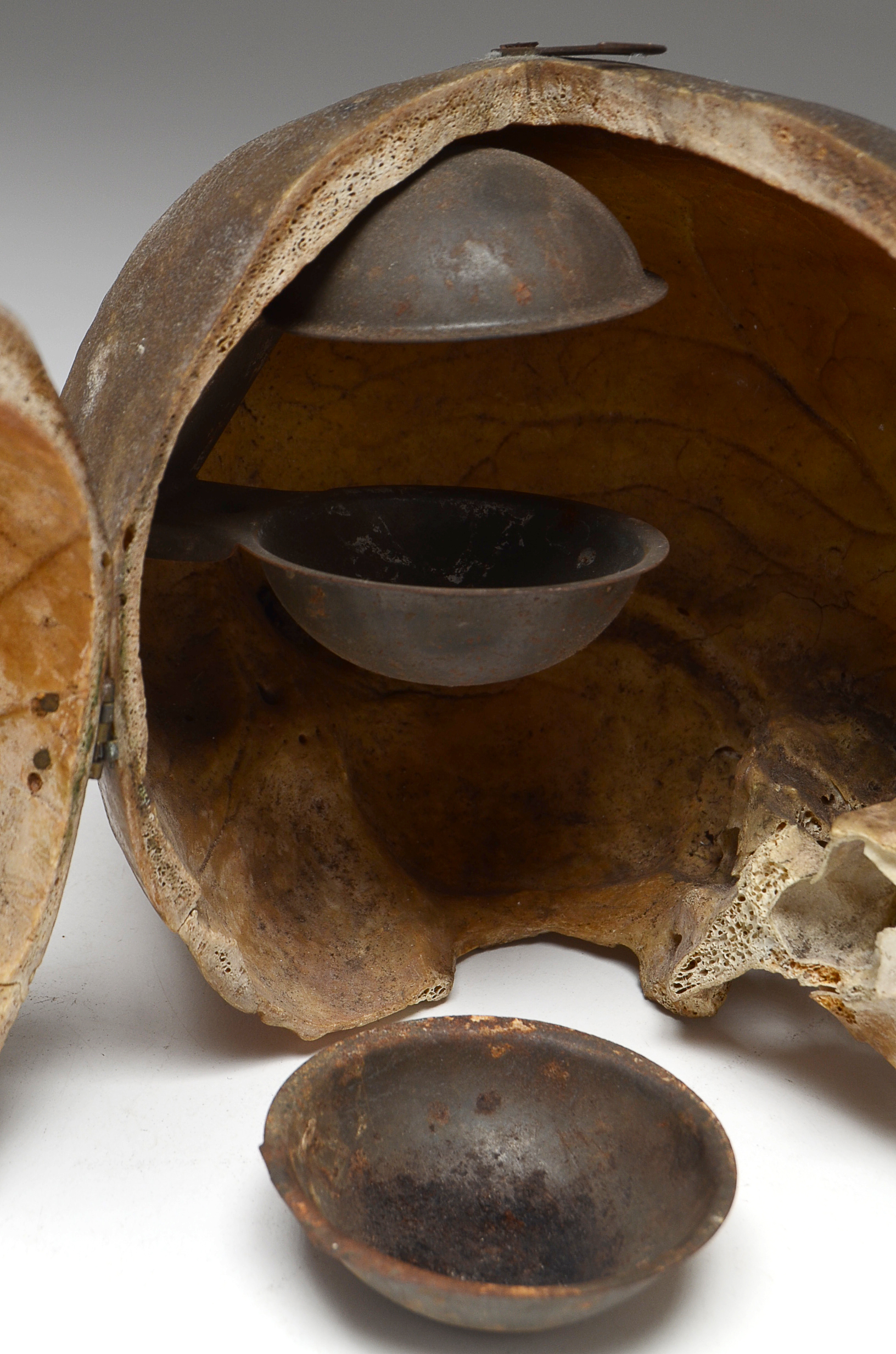 Authentic Human Skull with Hinged Opening