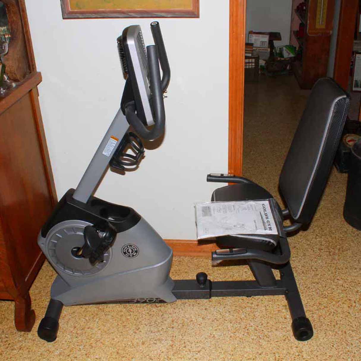 Trainer 390r Gold's Gym Smr Exercise Bike Gold's Gym Cycle