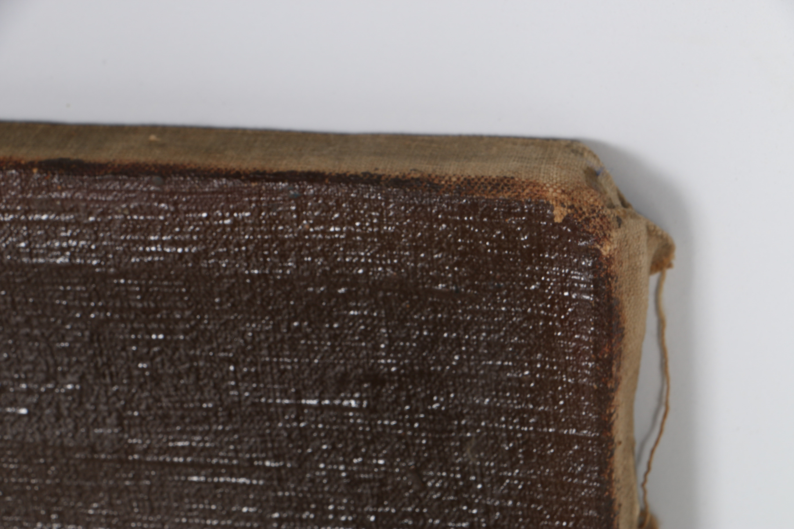 Oil Painting on Canvas Still Life