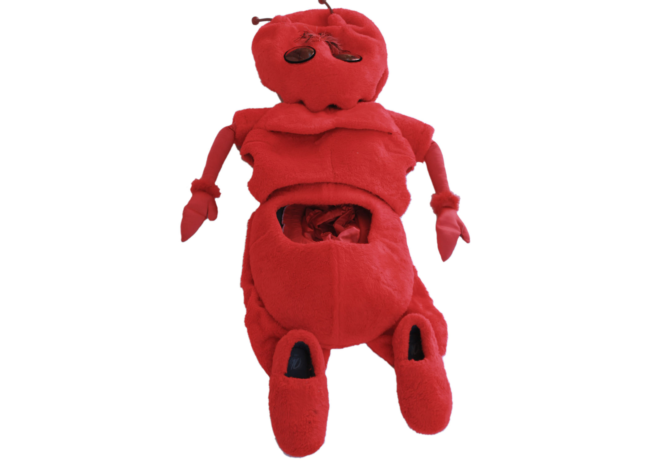 Professional Red Ant Costume with Full Size Body Coverage