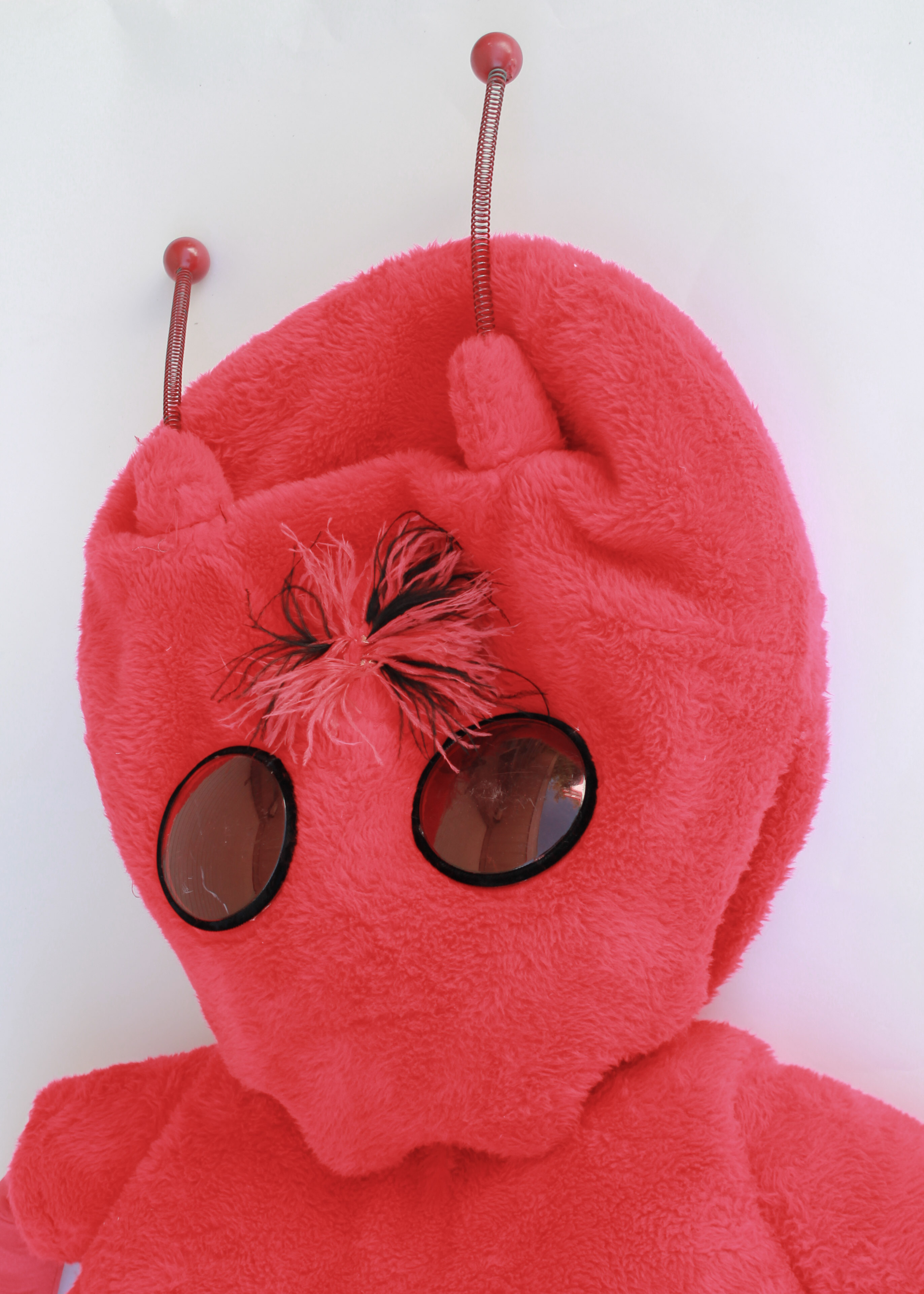 Professional Red Ant Costume with Full Size Body Coverage