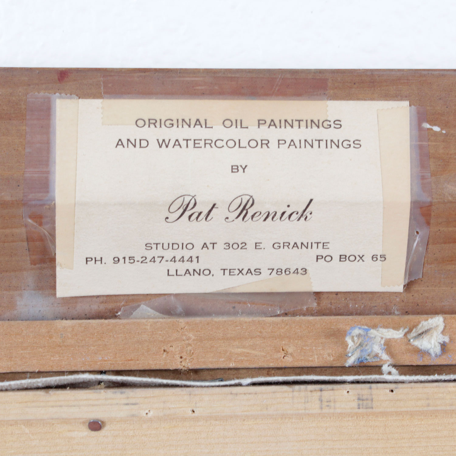 Texas Bluebonnet Landscape Painting by Pat Renick