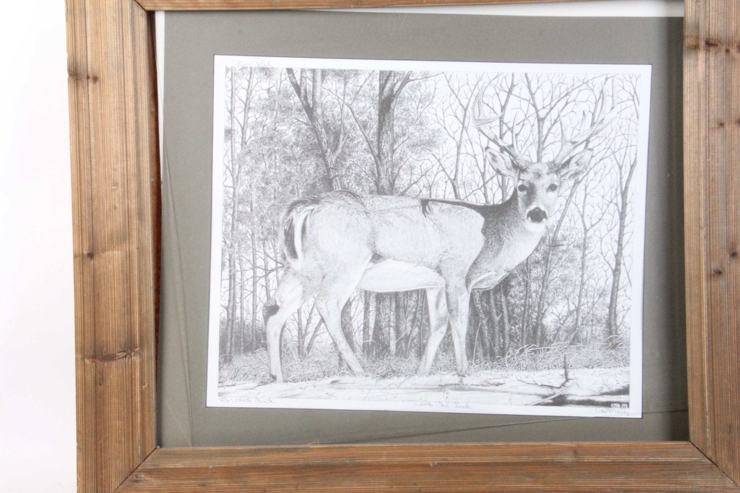 Original Signed "White-Tailed Buck" Ink Drawing by Texas Artist Ric Marley