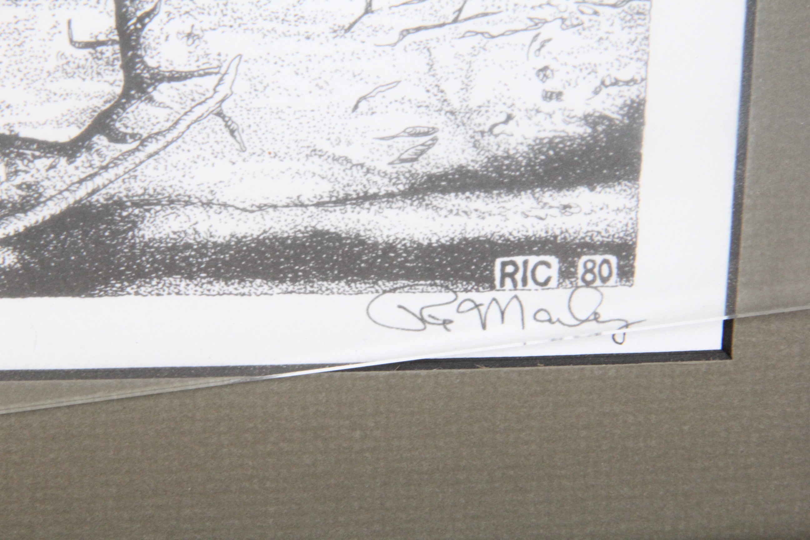 Original Signed "White-Tailed Buck" Ink Drawing by Texas Artist Ric Marley