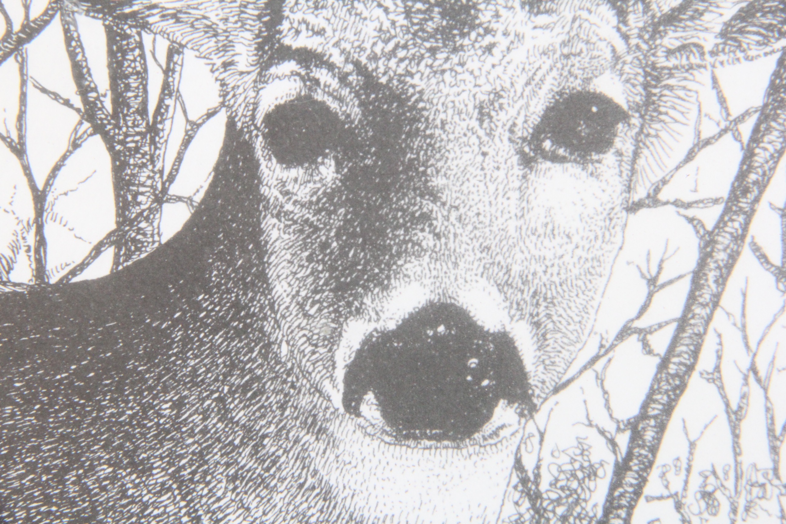 Original Signed "White-Tailed Buck" Ink Drawing by Texas Artist Ric Marley