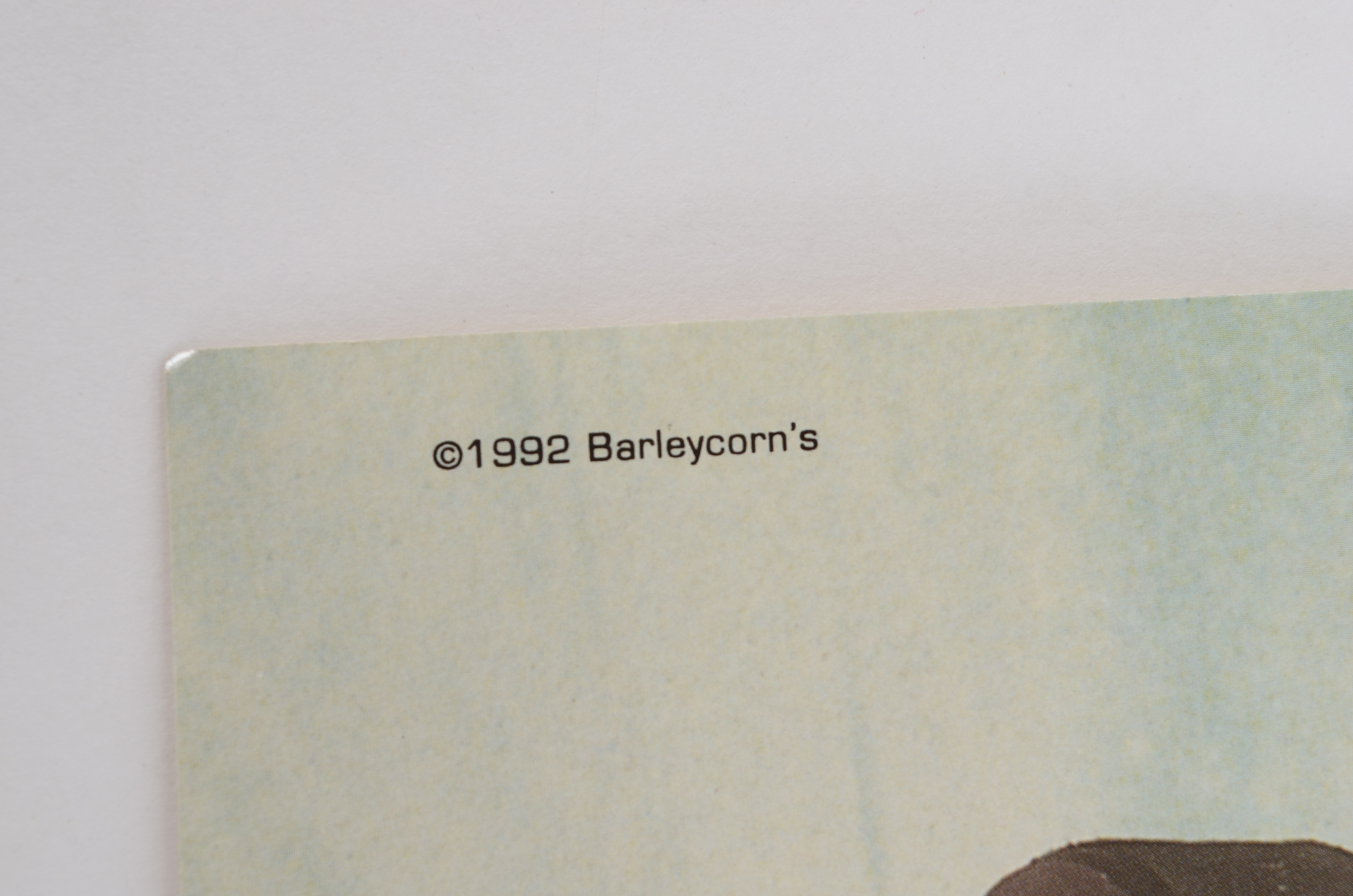 Pair of Vintage Cincinnati Cyclones Posters