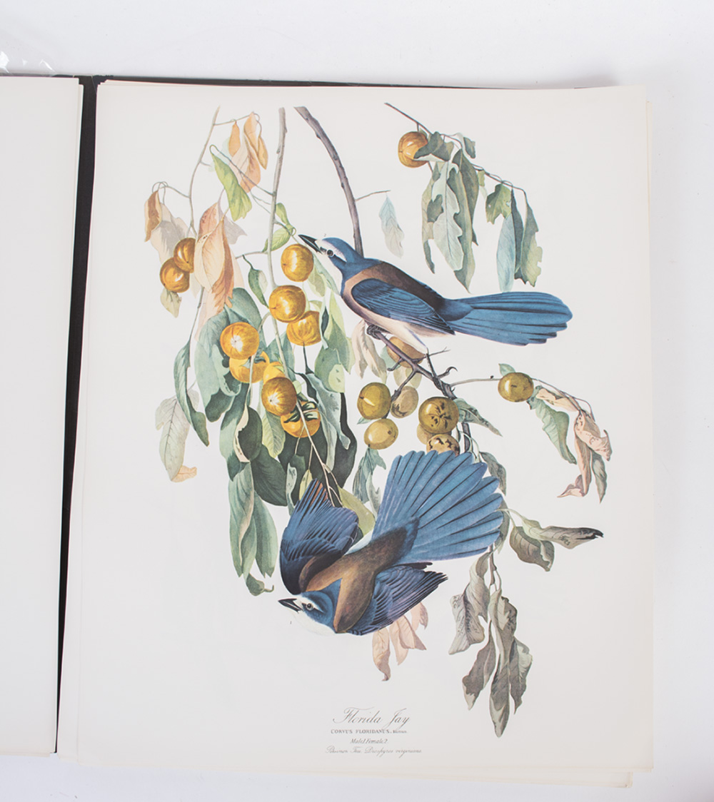 Vintage 1964 "The Audubon Folio" Prints and Guide