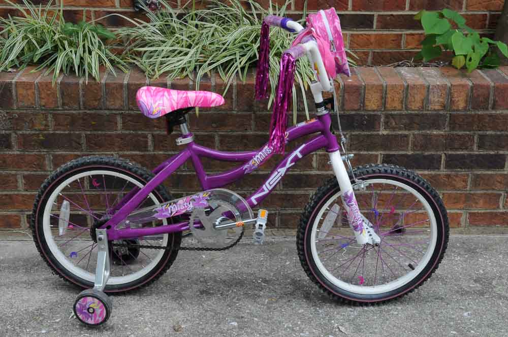 Girls Bicycle Set with Scooter