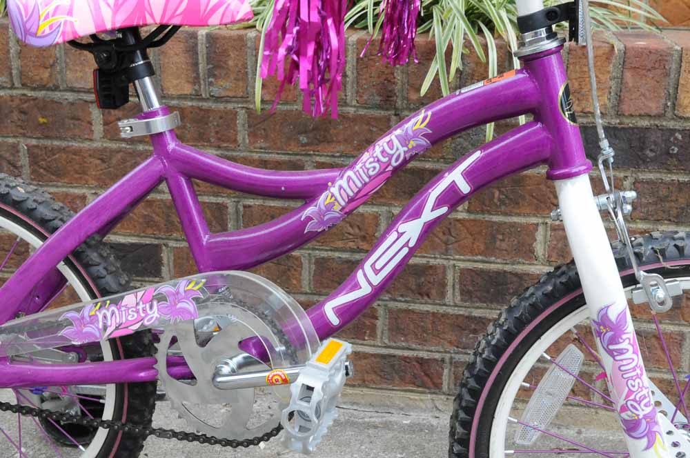 Girls Bicycle Set with Scooter