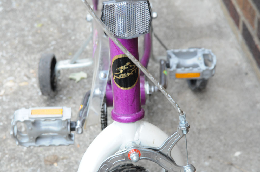 Girls Bicycle Set with Scooter