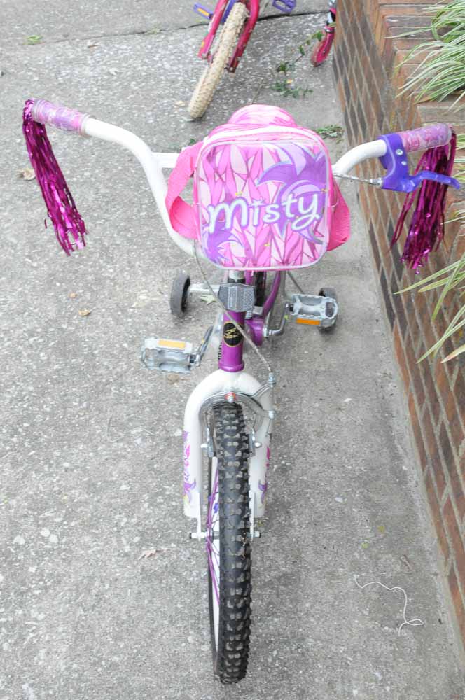 Girls Bicycle Set with Scooter