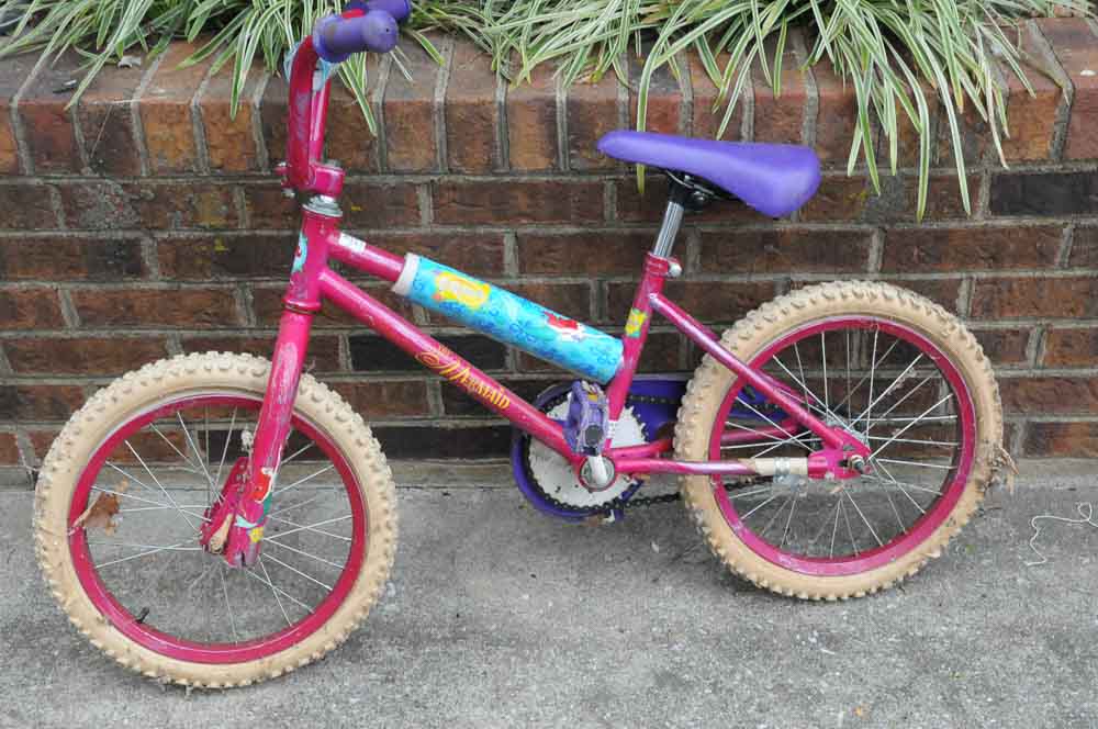 Girls Bicycle Set with Scooter