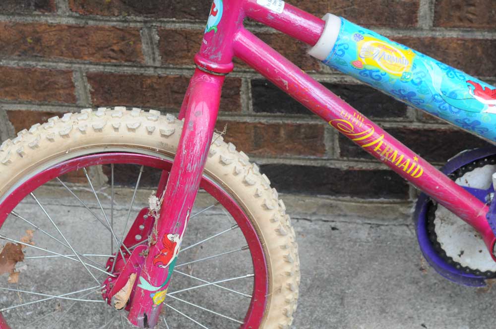 Girls Bicycle Set with Scooter