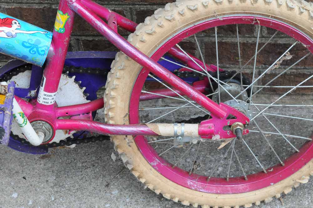 Girls Bicycle Set with Scooter