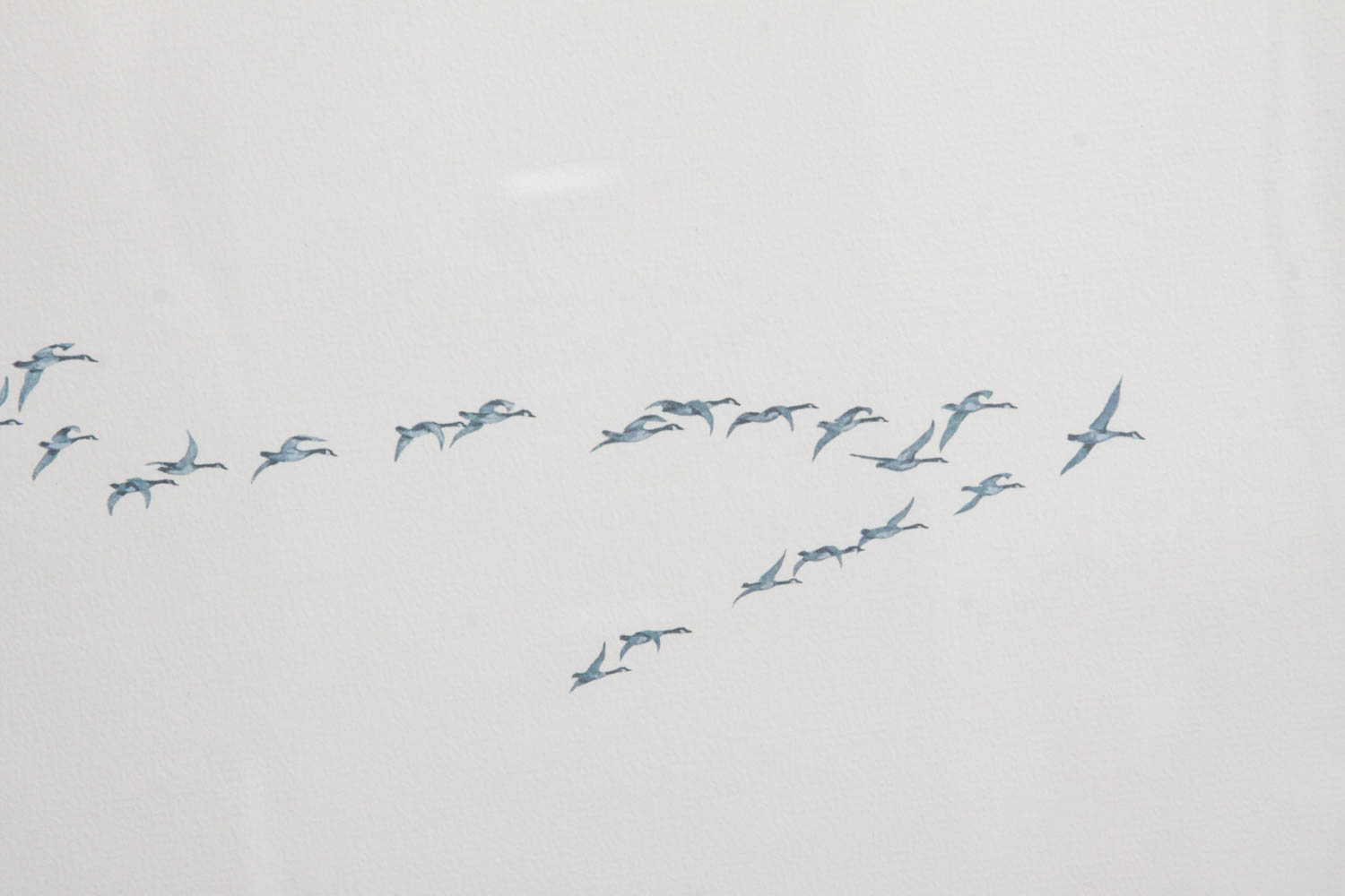 Canadian Geese Print by Charles Murphy