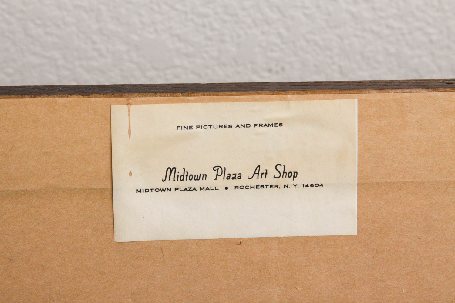 Canadian Geese Print by Charles Murphy