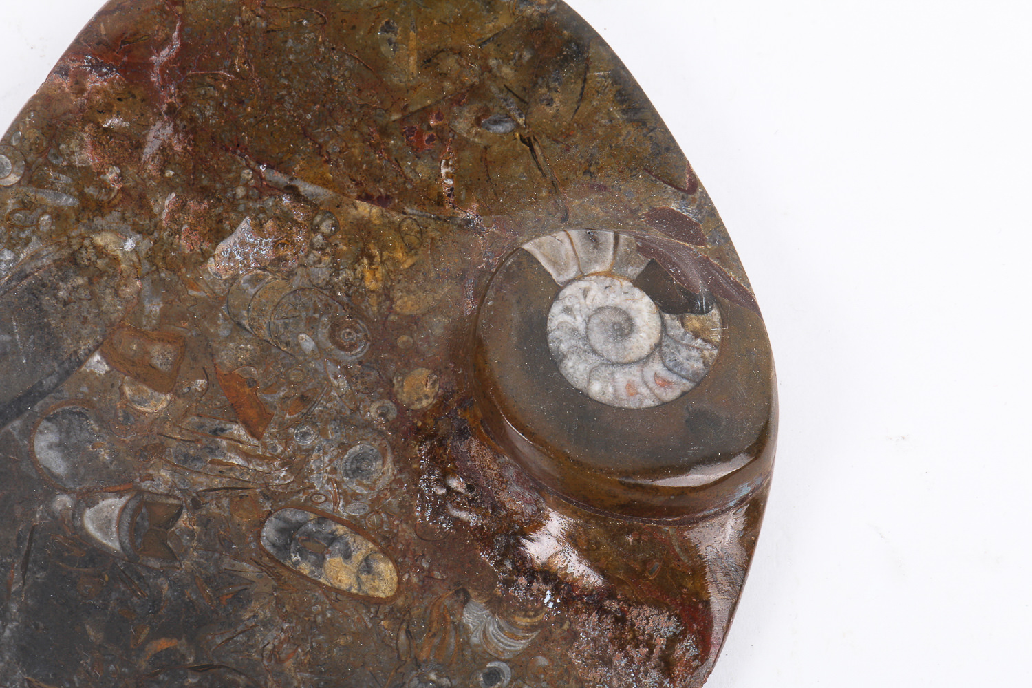 Vintage Pipes and Accessories