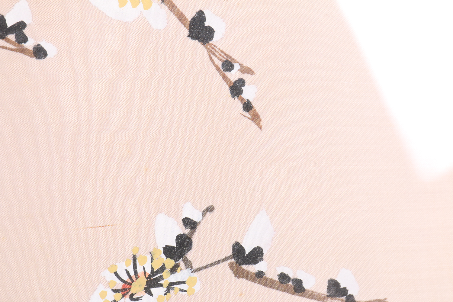 Collection of East Asian Art