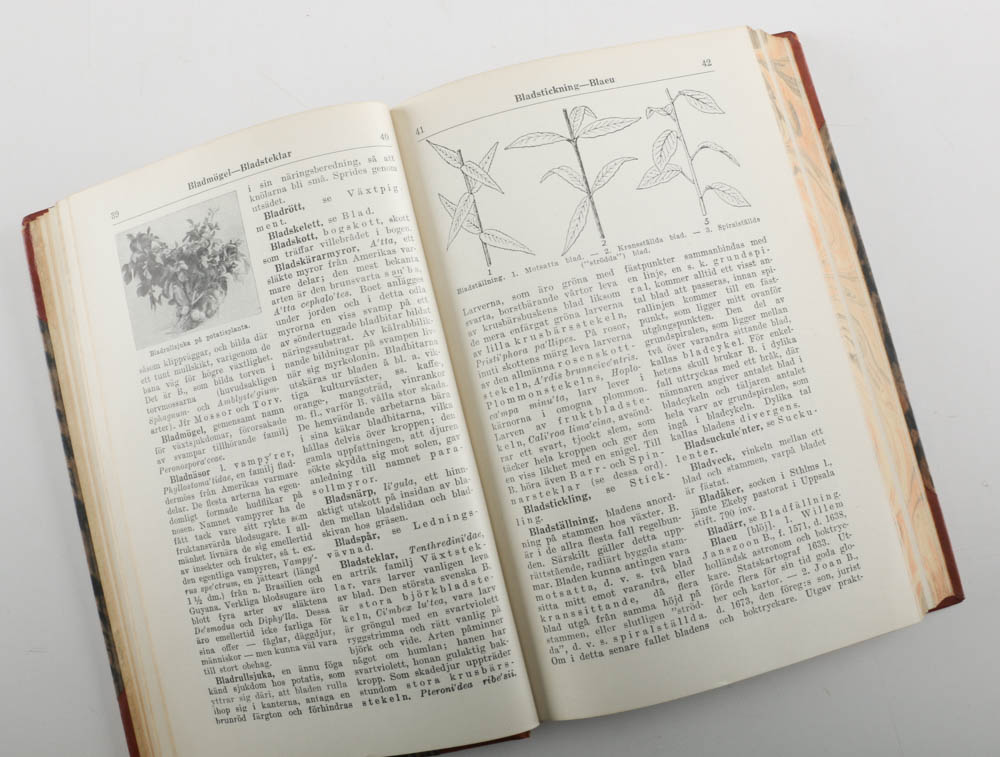 Swedish "Bonniers Lexikon Nationalupplaga"