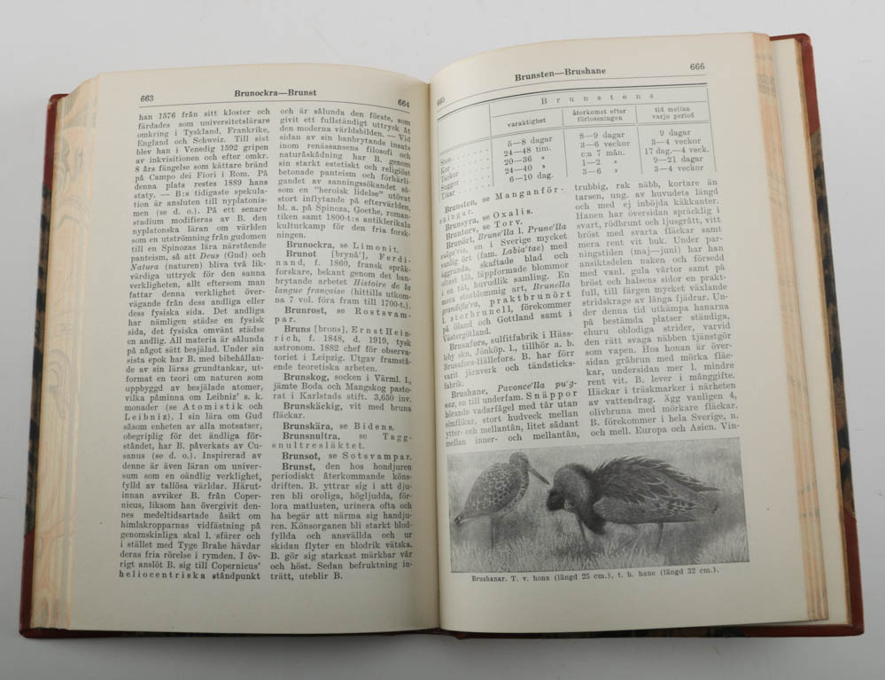 Swedish "Bonniers Lexikon Nationalupplaga"