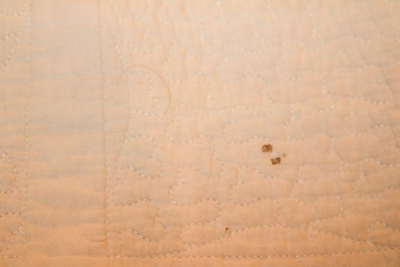 Adjustable Twin Size Bed Frame by Sleep Comfort with Mattress and Bedding