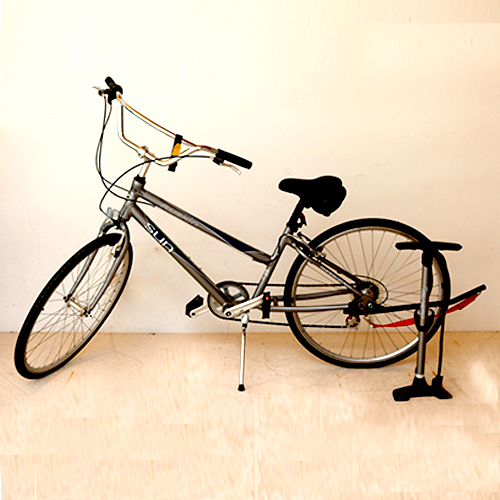 Ruskin "Sun" Women's Bicycle with Zéfal Pump