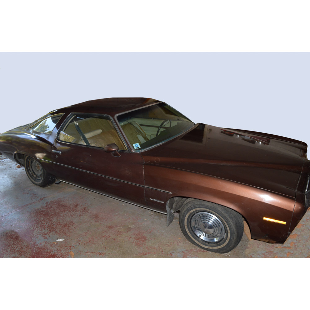 1973 Pontiac LeMans 2-Door Sport Coupe