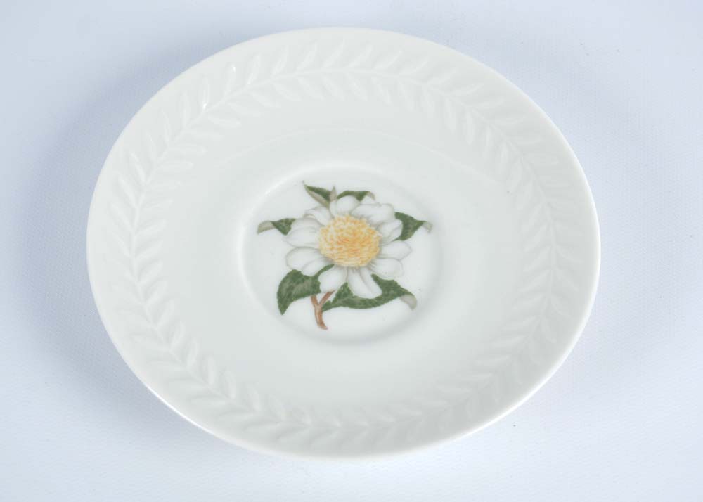 Theodore Haviland Regents Park "Camellia" China