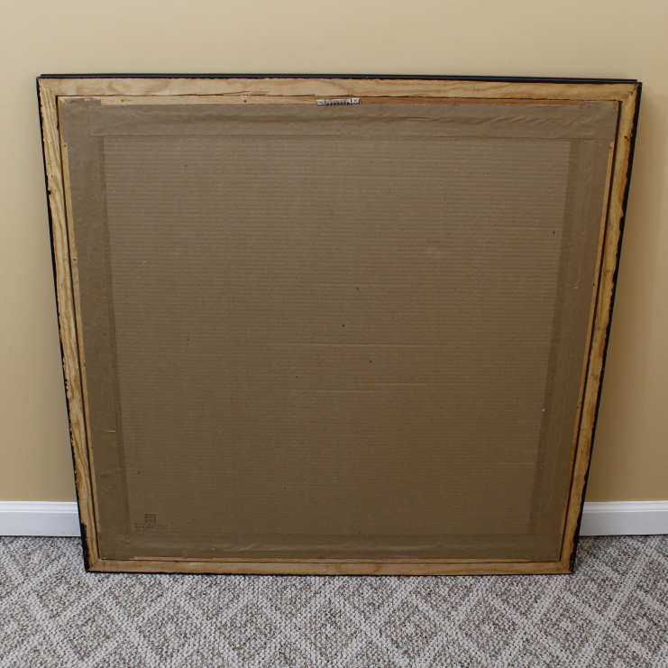 Framed San Diego Zoo Poster Print