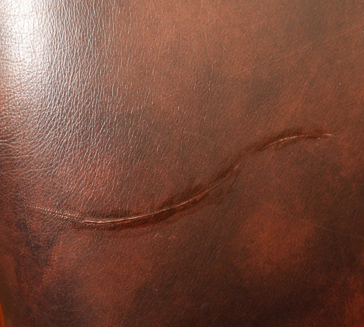 Leather Sofa and Throw Pillows